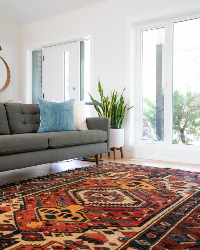 Sitting area with a patterned rug