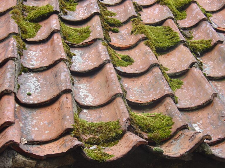 old roof tiles with moss