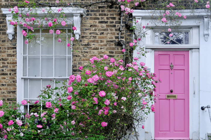 Front of a house with a pink door and flowers